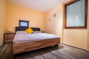 Apartment Veninsek
